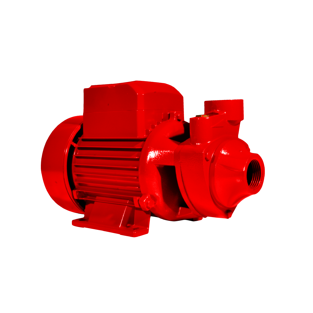 Electrobomba ECP 20